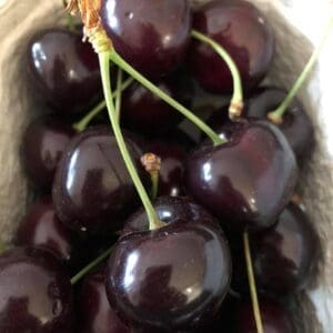 HillHouseFarmCherries2